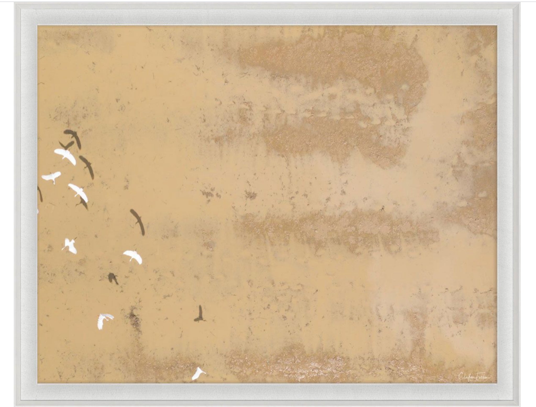 Natural Curiosities Folden Series 2, Beach No. 4 Photograph