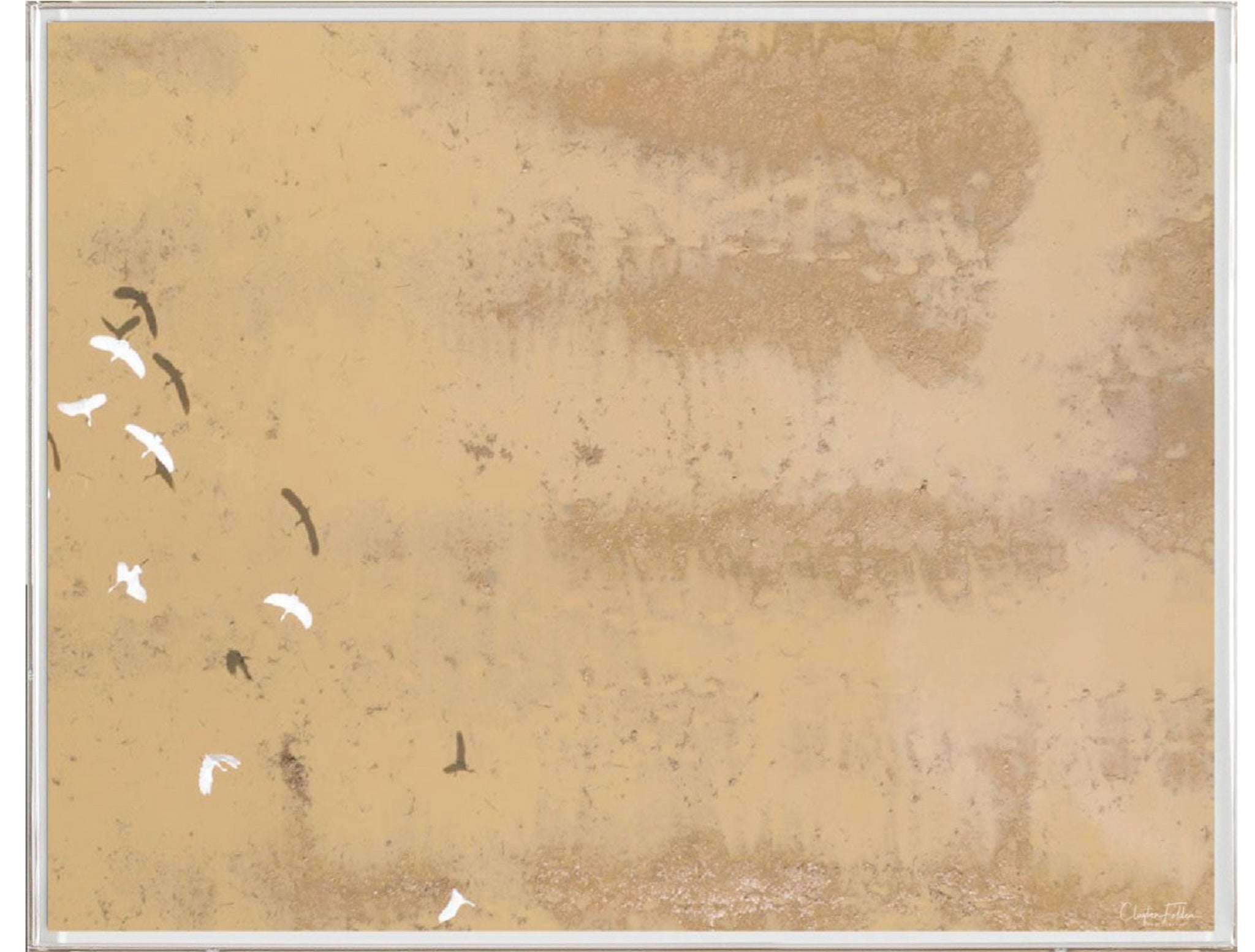 Natural Curiosities Folden Series 2, Beach No. 4 Photograph