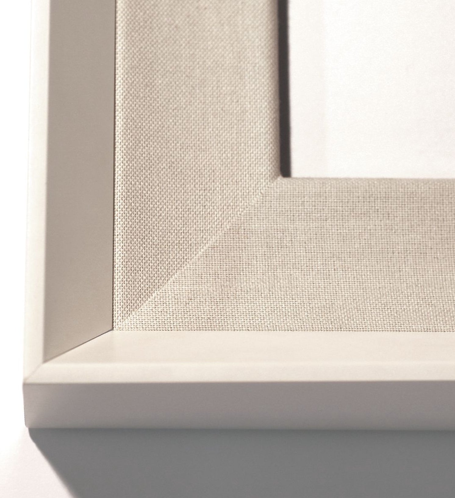 Natural Curiosities Folden Series 2, Ocean No. 8