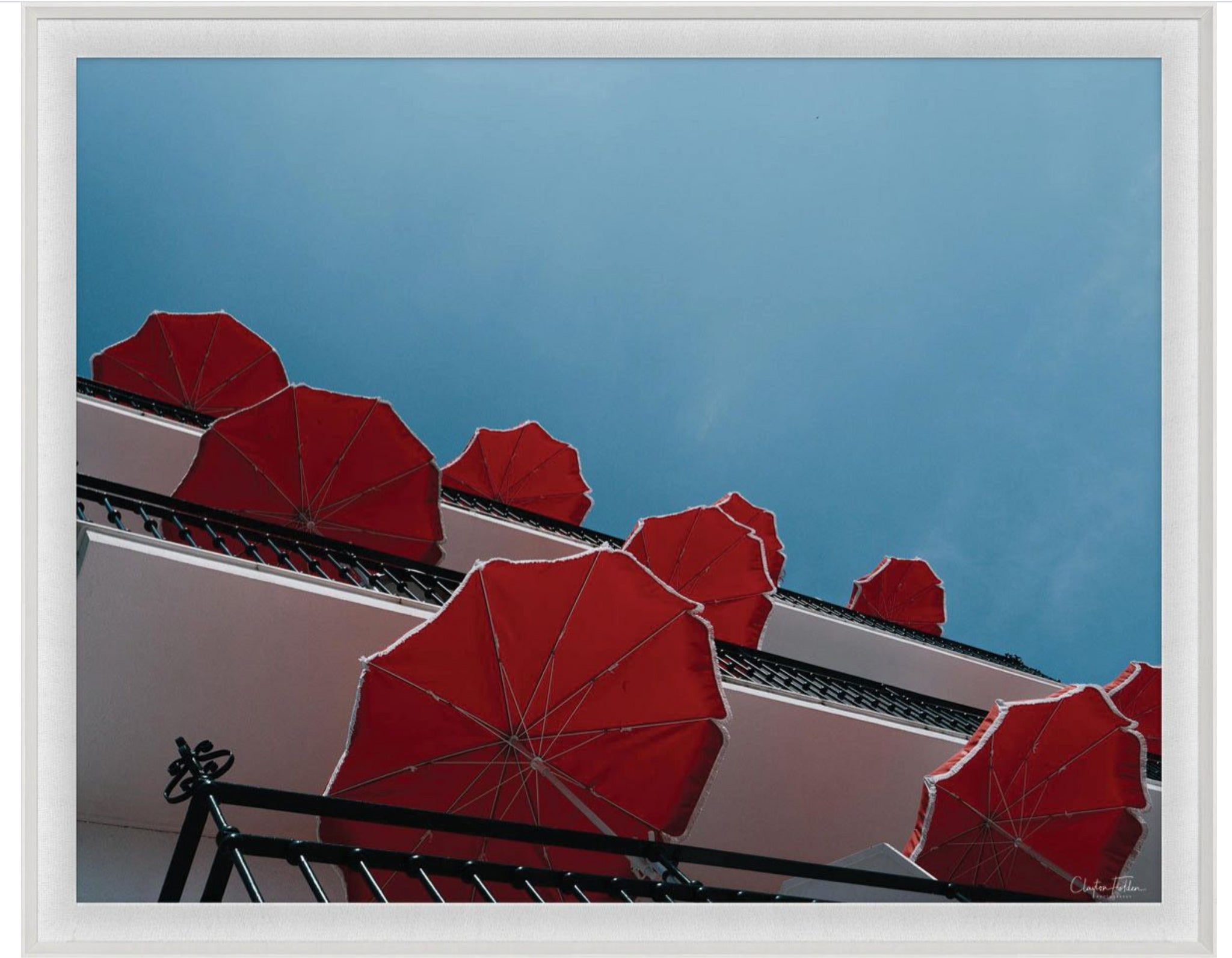 Natural Curiosities Folden Series 2, Red Umbrellas