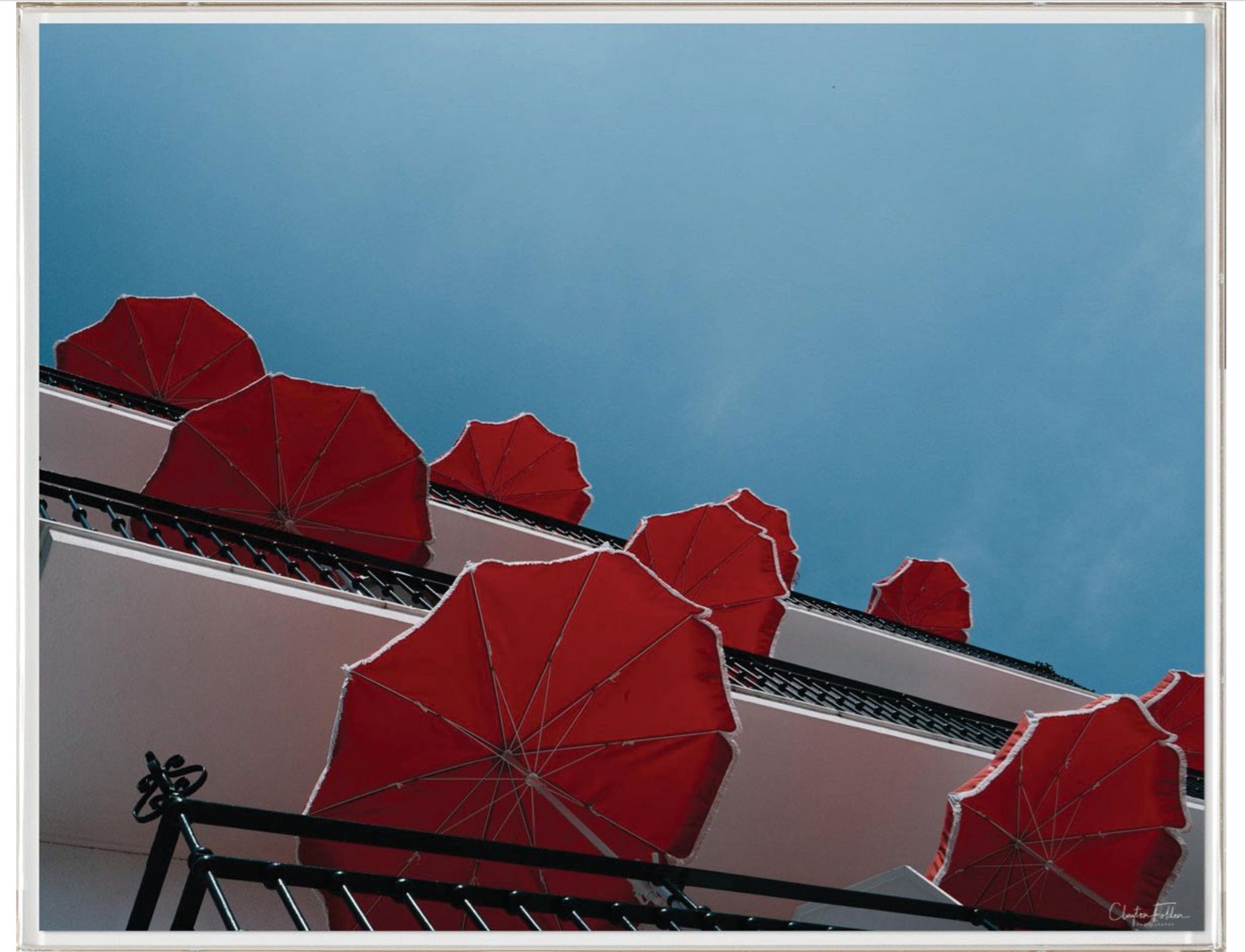 Natural Curiosities Folden Series 2, Red Umbrellas