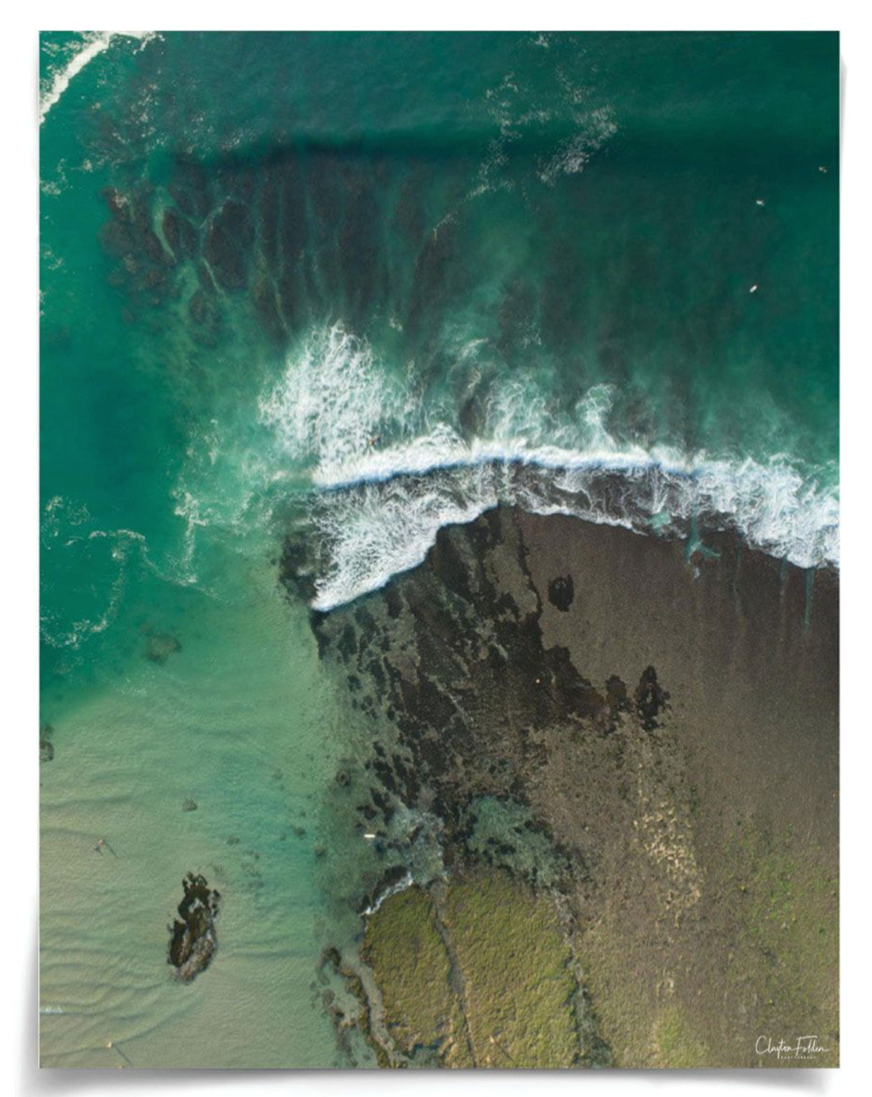 Natural Curiosities Folden Series 2, Wave No. 14, 15, and 16