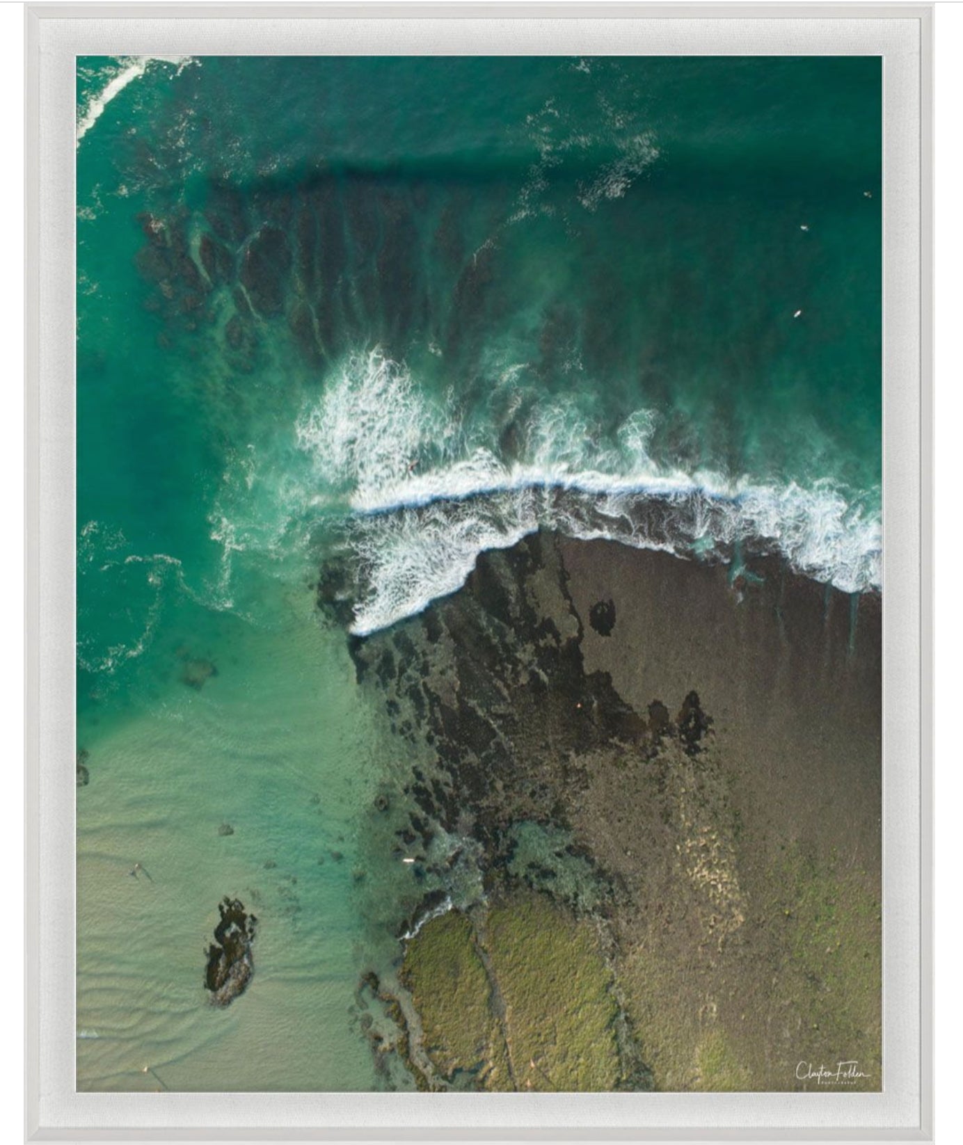 Natural Curiosities Folden Series 2, Wave No. 14