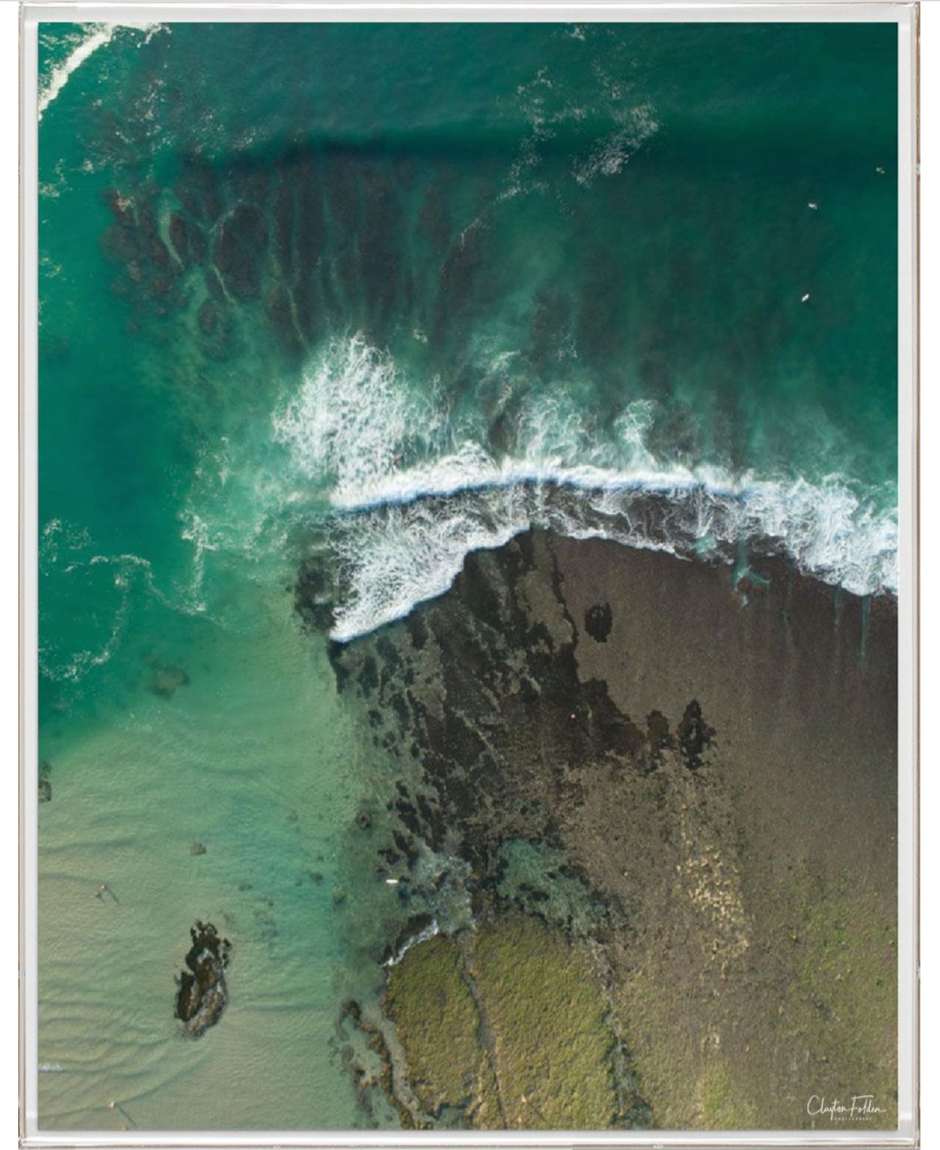 Natural Curiosities Folden Series 2, Wave No. 14, 15, and 16