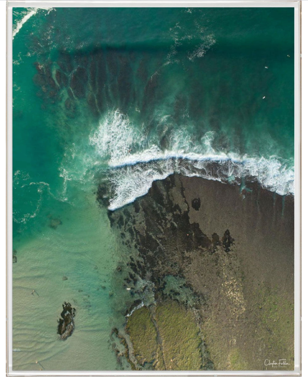 Natural Curiosities Folden Series 2, Wave No. 14