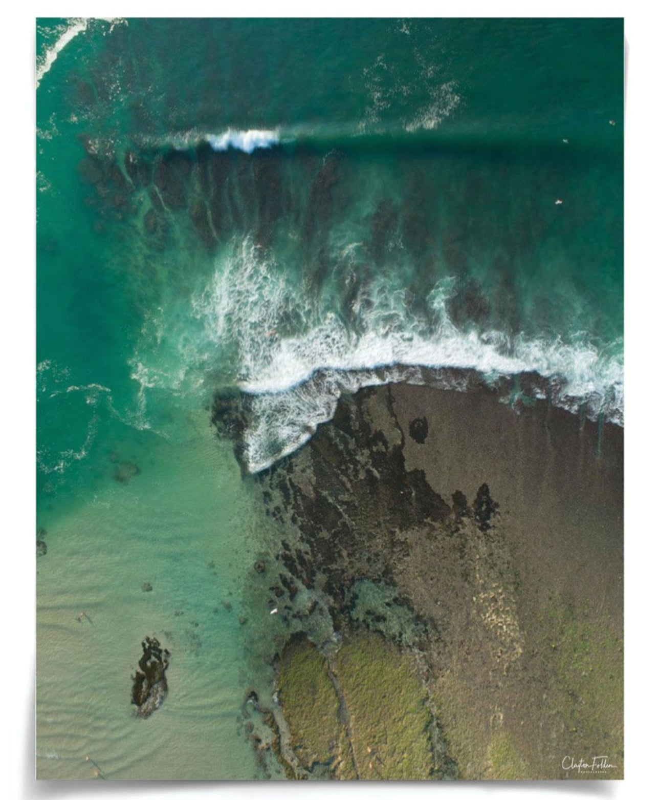 Natural Curiosities Folden Series 2, Wave No. 14, 15, and 16