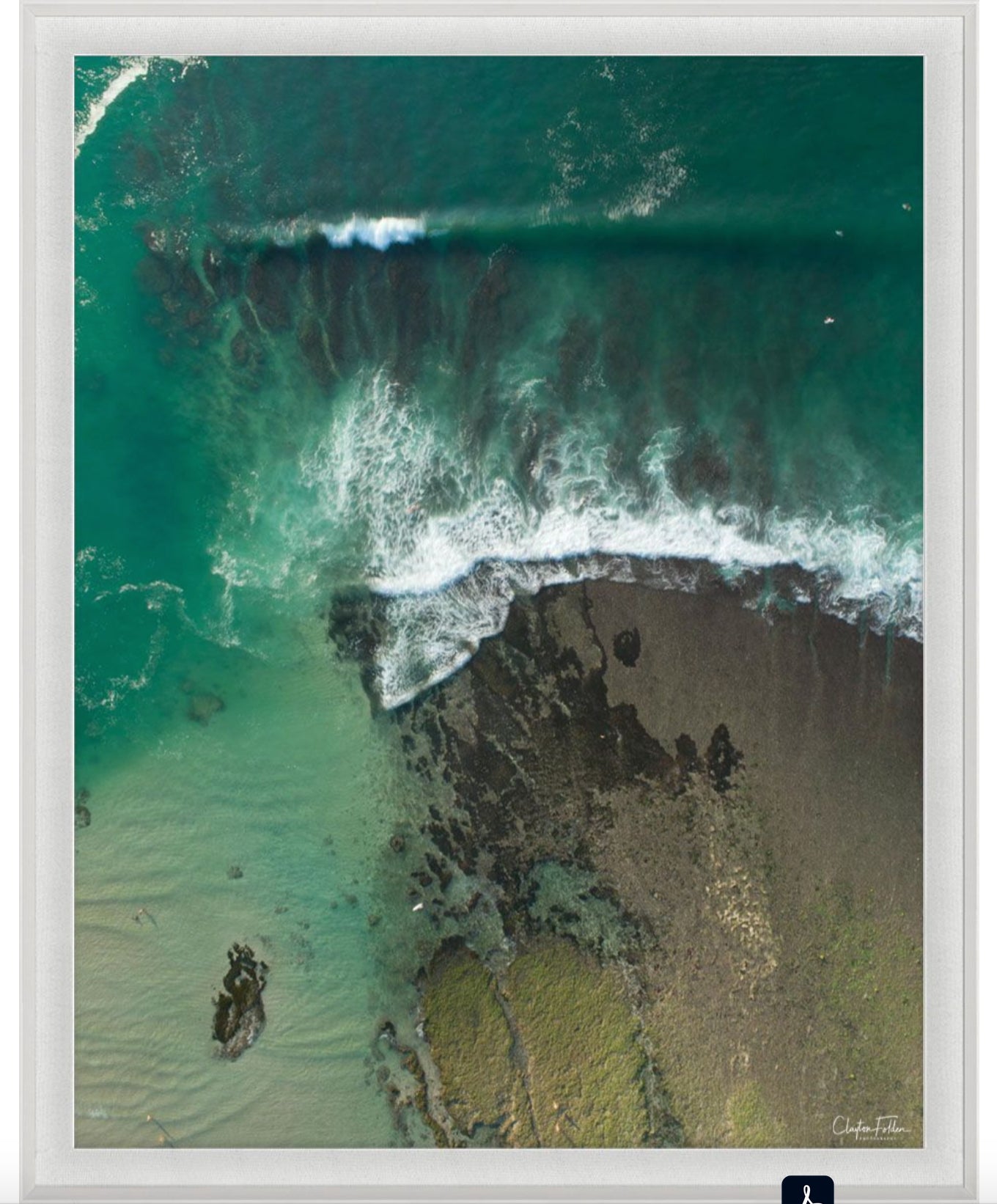 Natural Curiosities Folden Series 2, Wave No. 14, 15, and 16