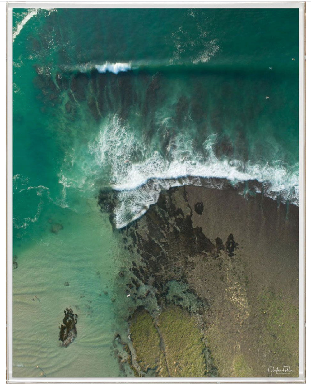 Natural Curiosities Folden Series 2, Wave No. 15