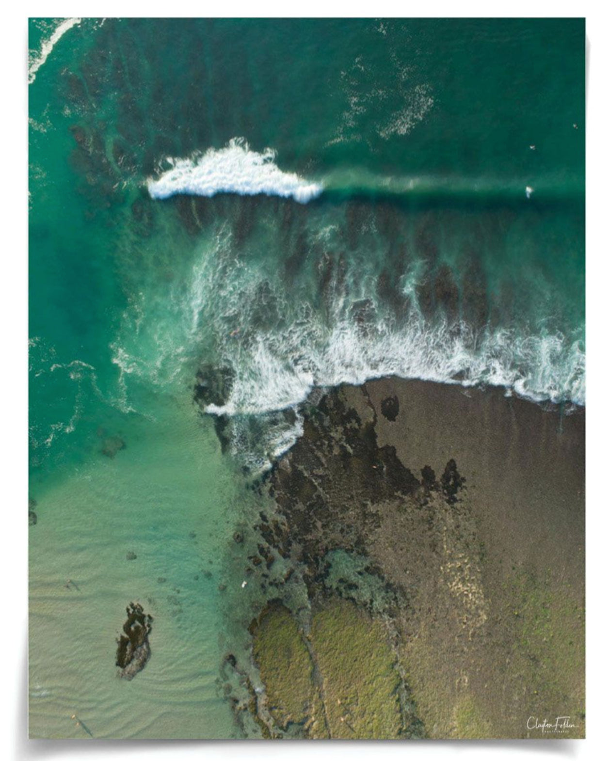 Natural Curiosities Folden Series 2, Wave No. 14, 15, and 16