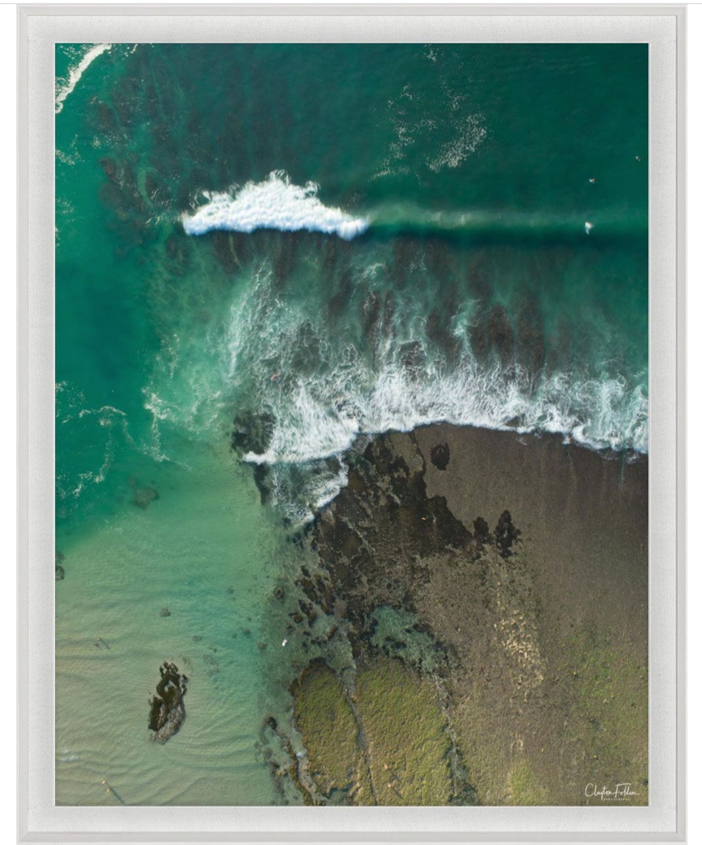 Natural Curiosities Folden Series 2, Wave No. 14, 15, and 16