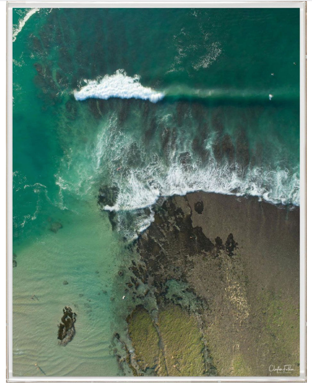 Natural Curiosities Folden Series 2, Wave No. 16