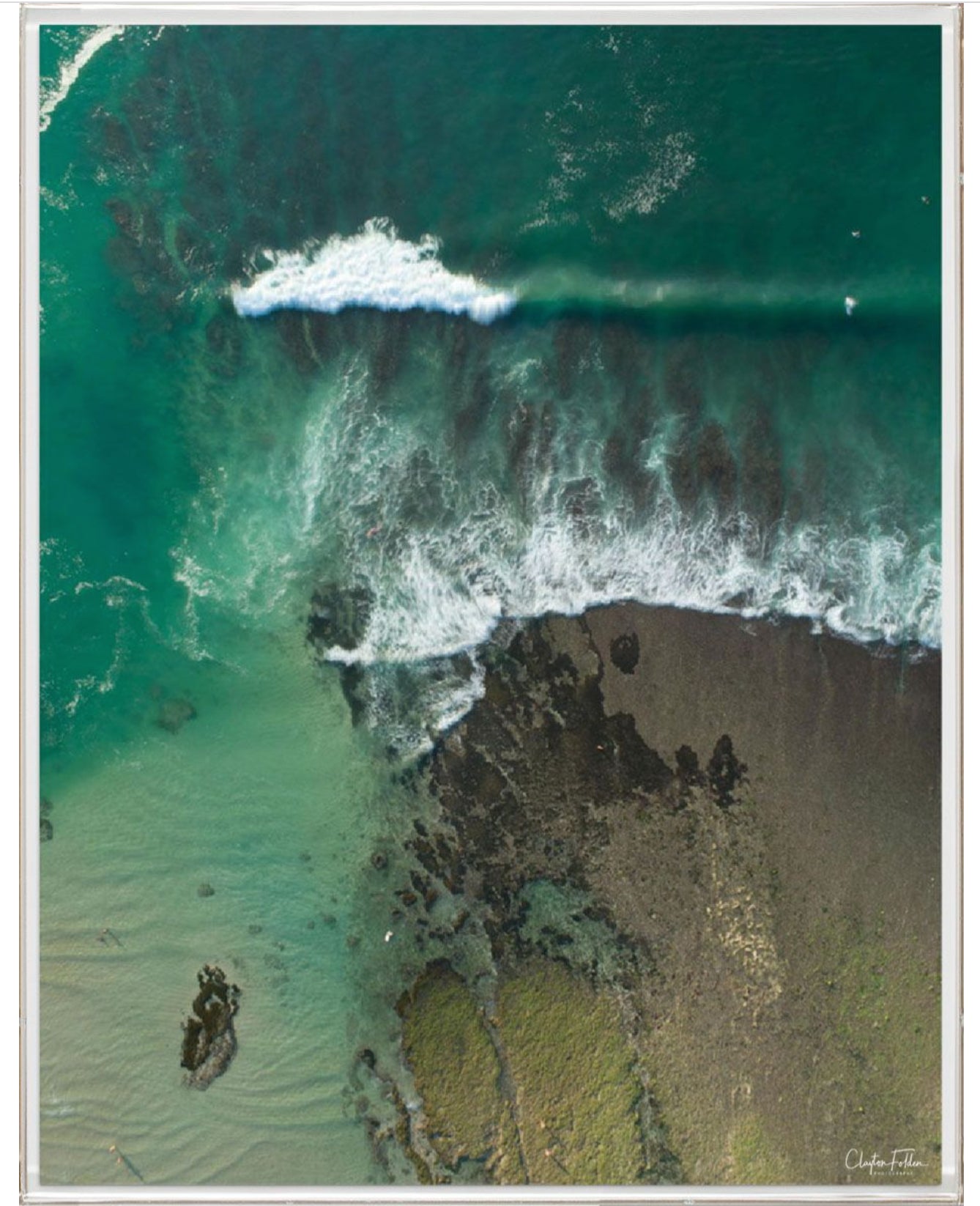 Natural Curiosities Folden Series 2, Wave No. 16