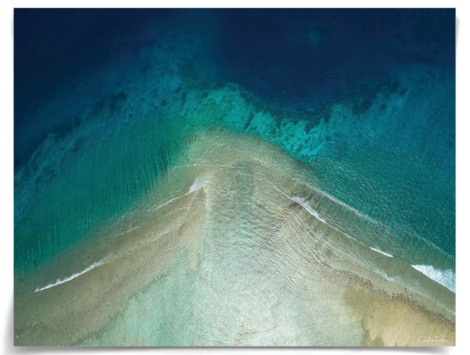 Natural Curiosities Folden Series 2, Ocean No. 10