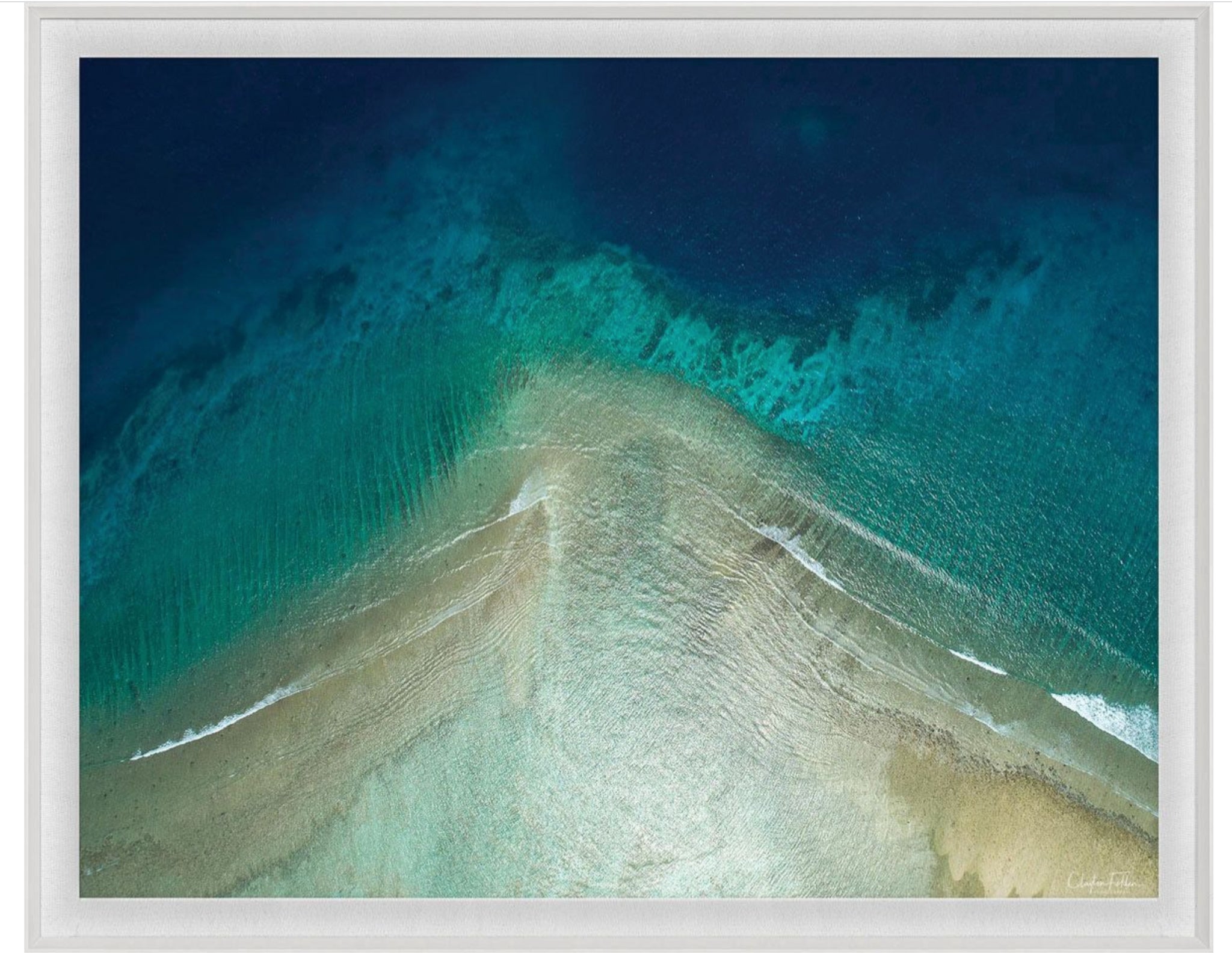 Natural Curiosities Folden Series 2, Ocean No. 10