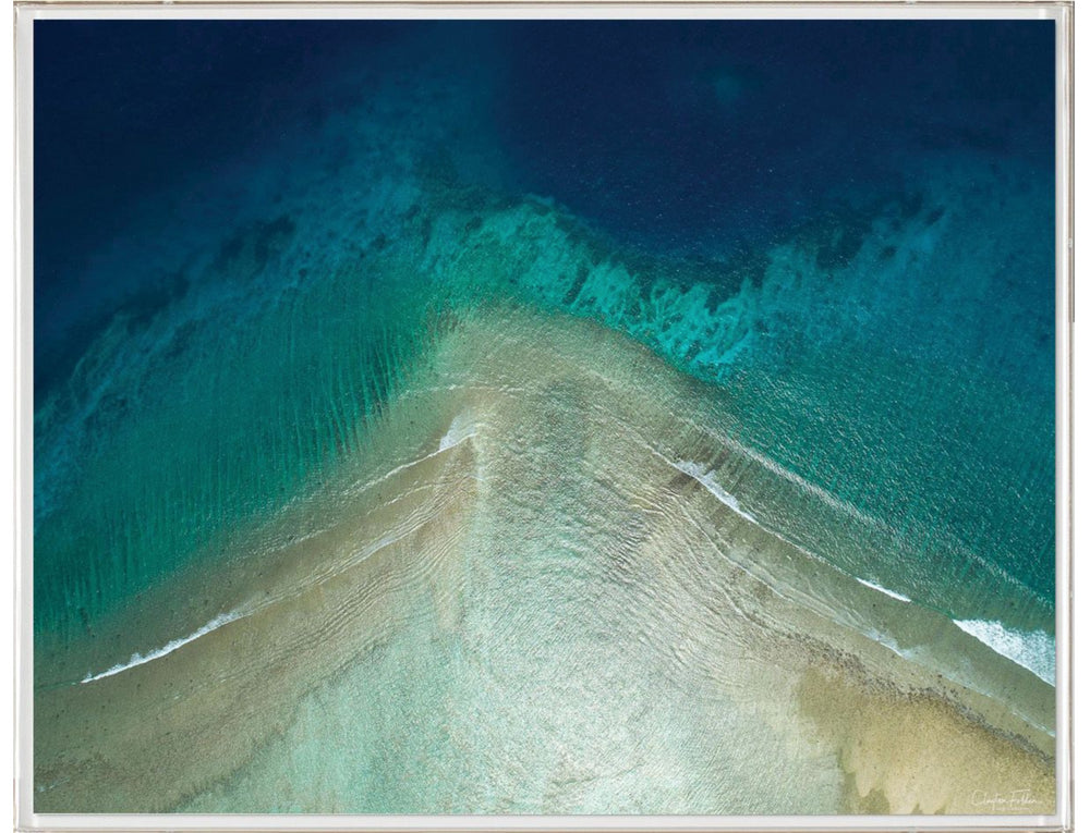 Natural Curiosities Folden Series 2, Ocean No. 10