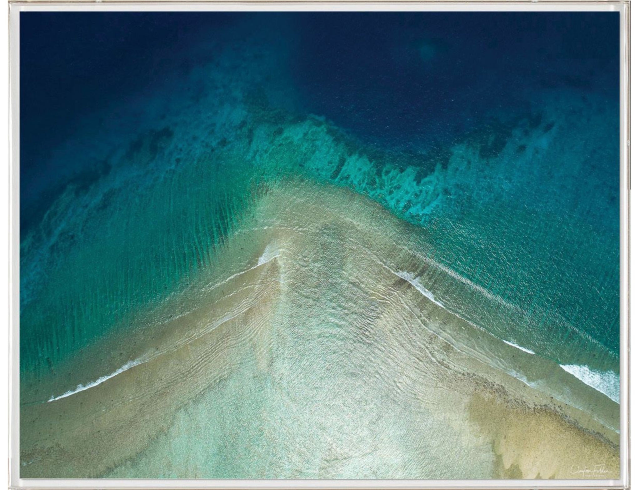 Natural Curiosities Folden Series 2, Ocean No. 10