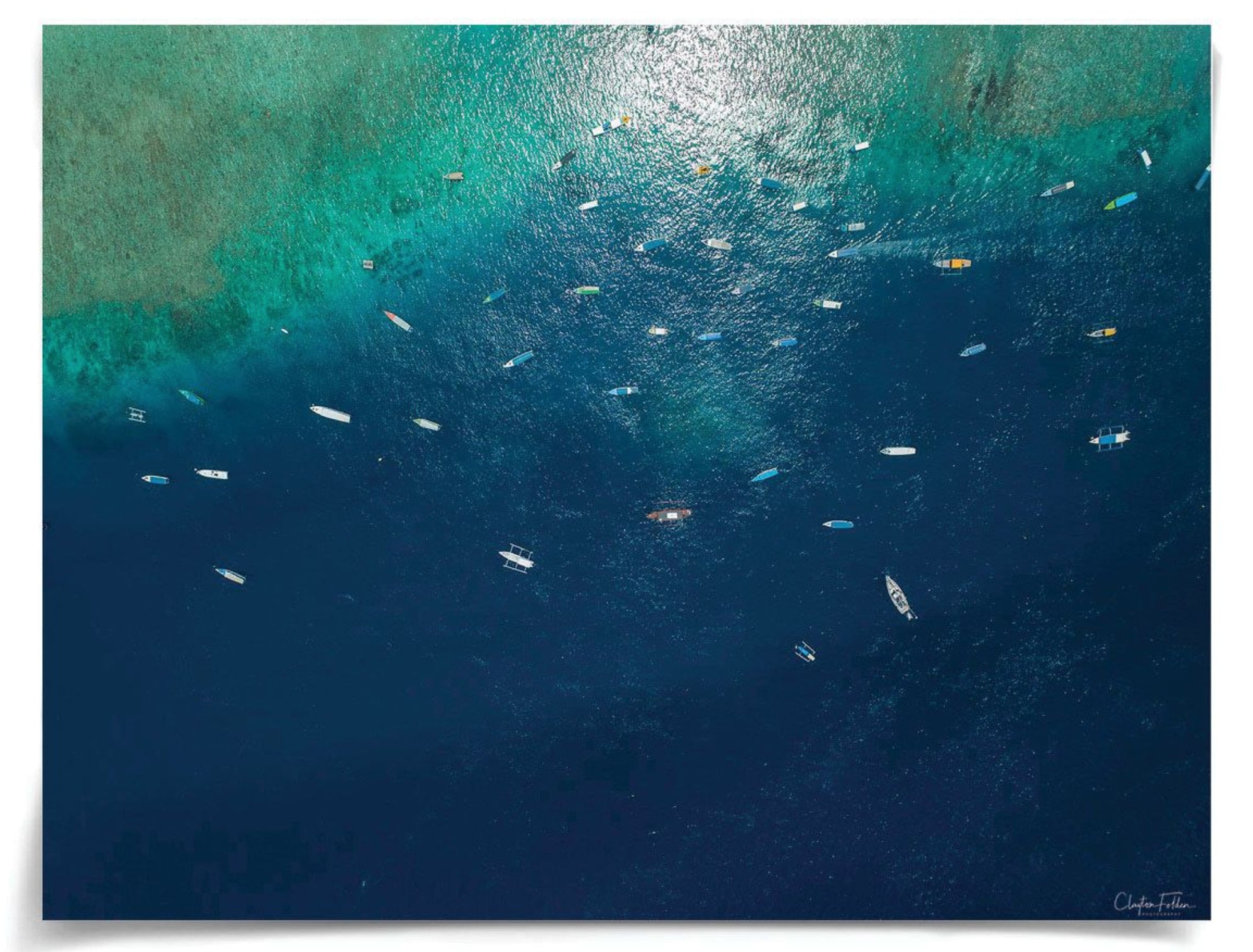 Natural Curiosities Folden Series 2, Ocean No. 11