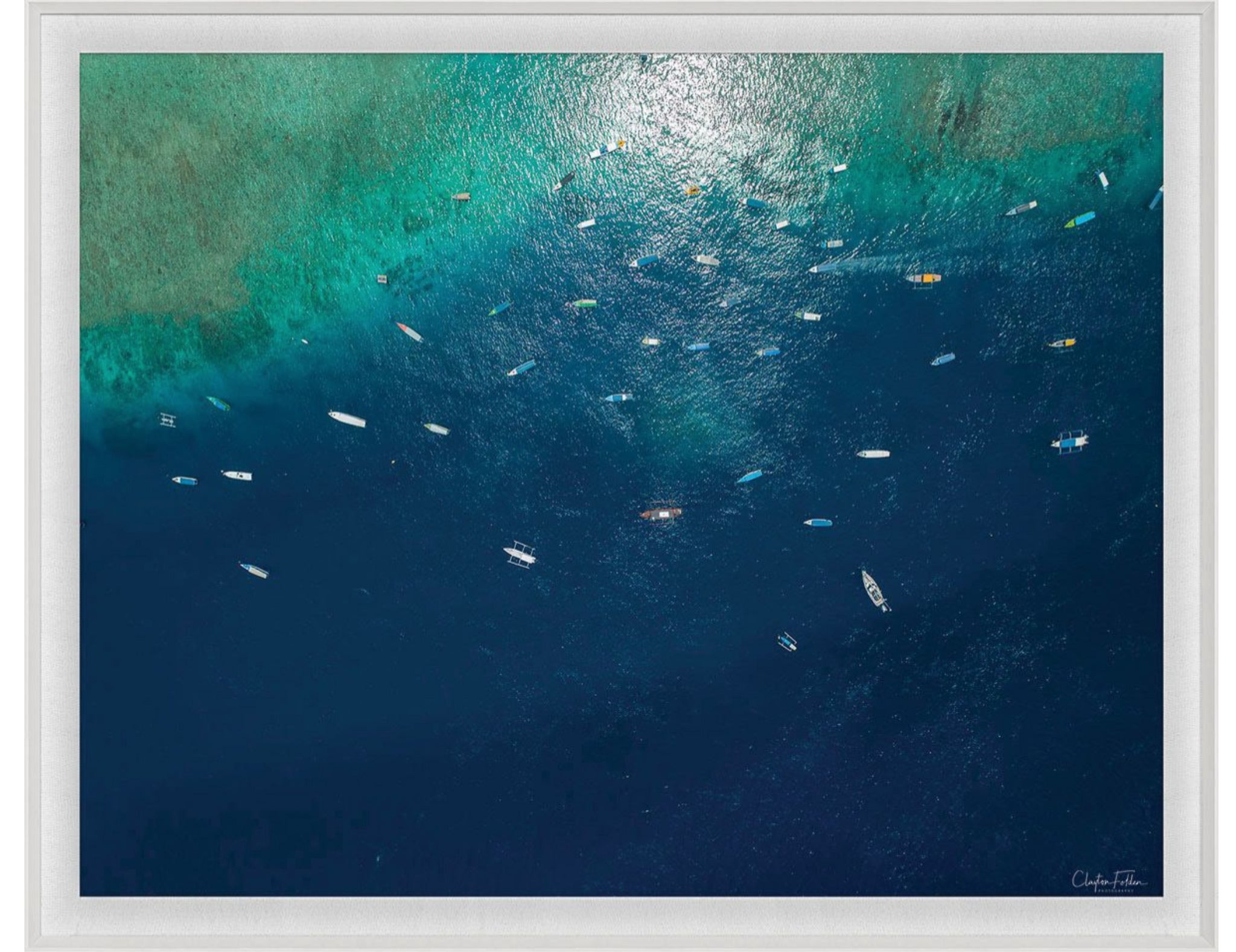 Natural Curiosities Folden Series 2, Ocean No. 11