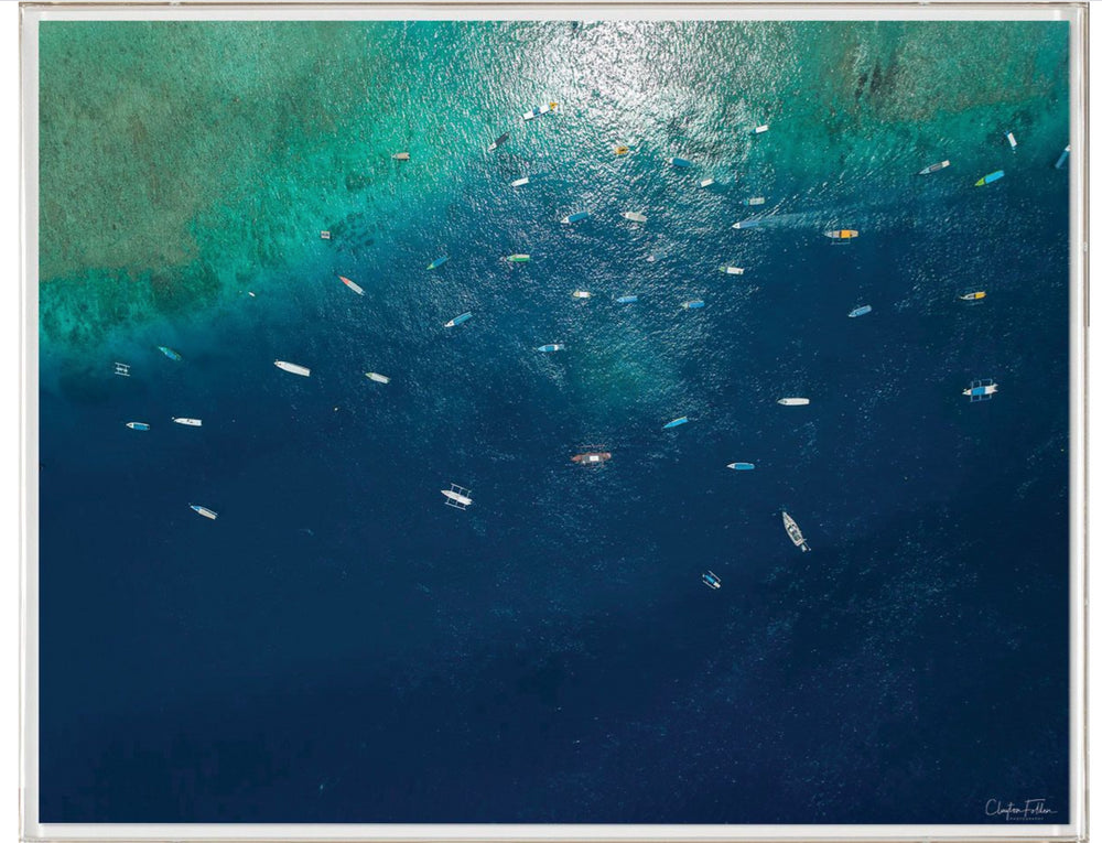 Natural Curiosities Folden Series 2, Ocean No. 11