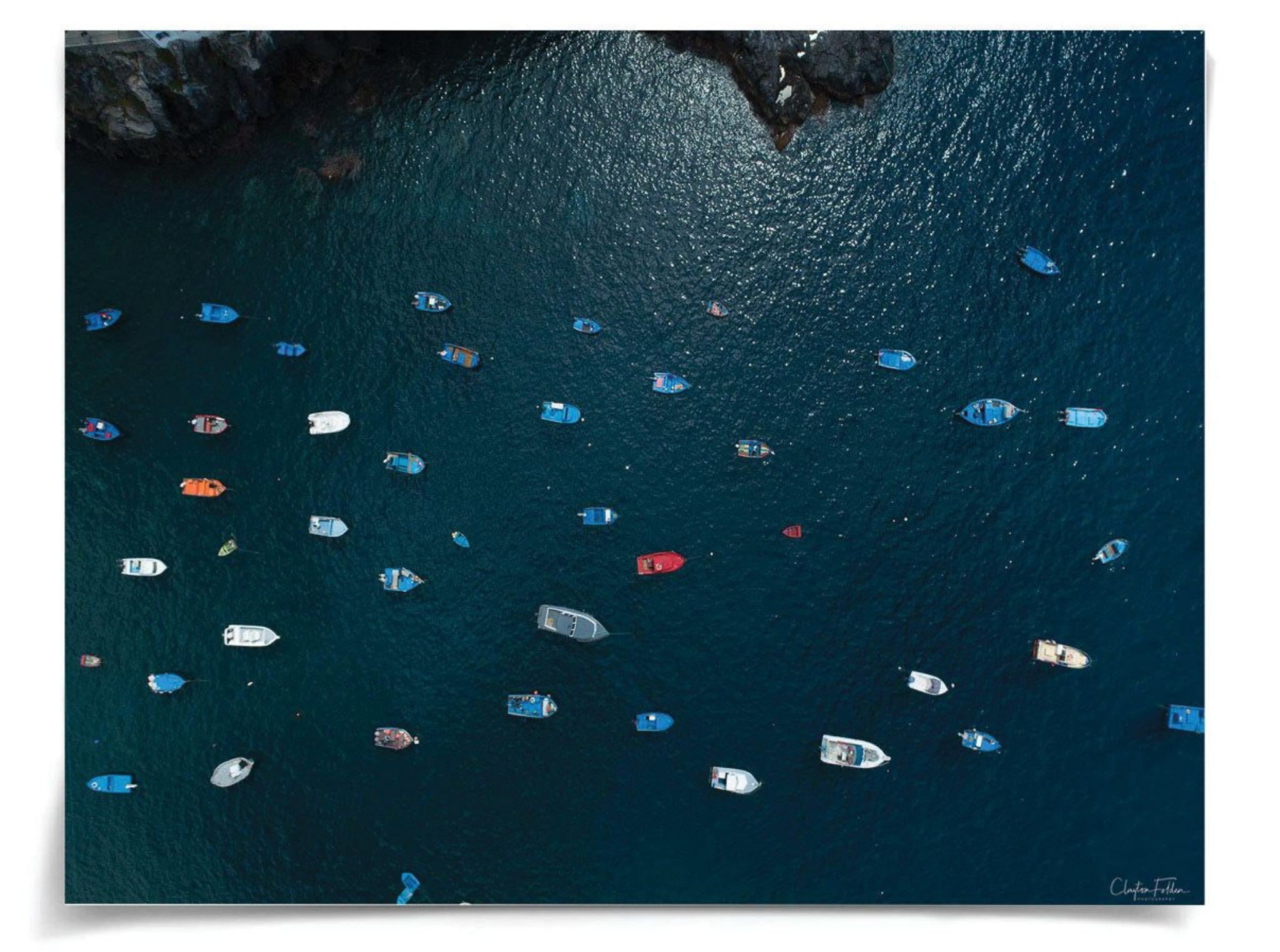 Natural Curiosities Folden Series 2, Ocean No. 18