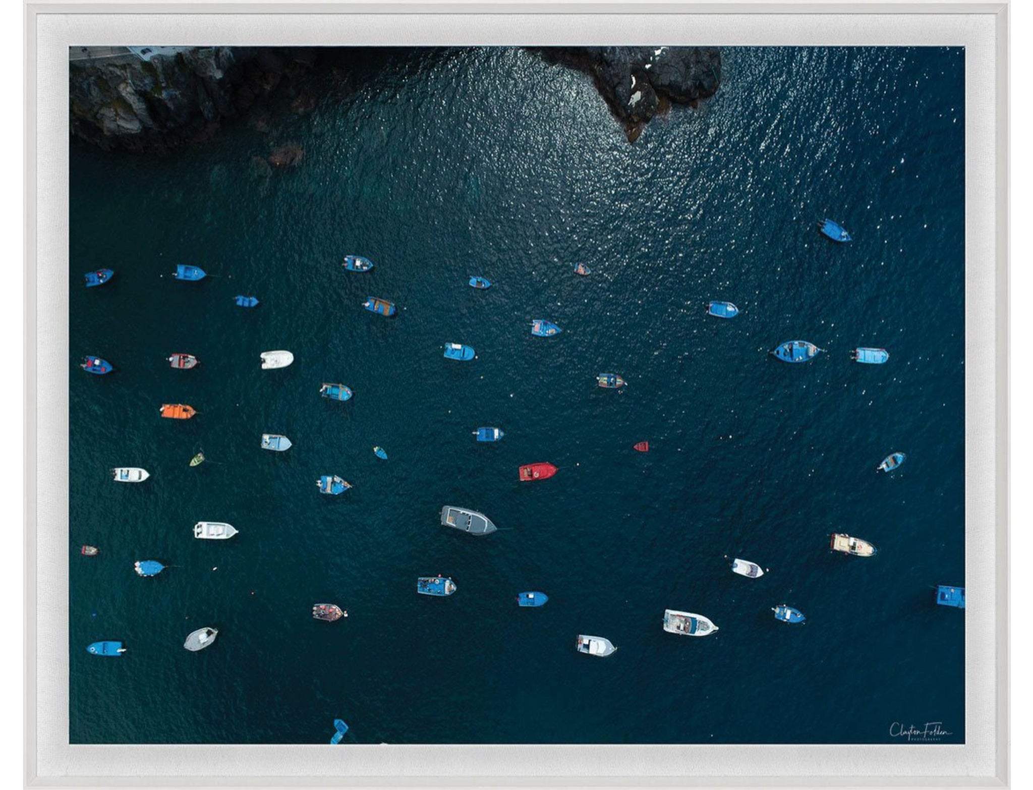 Natural Curiosities Folden Series 2, Ocean No. 18