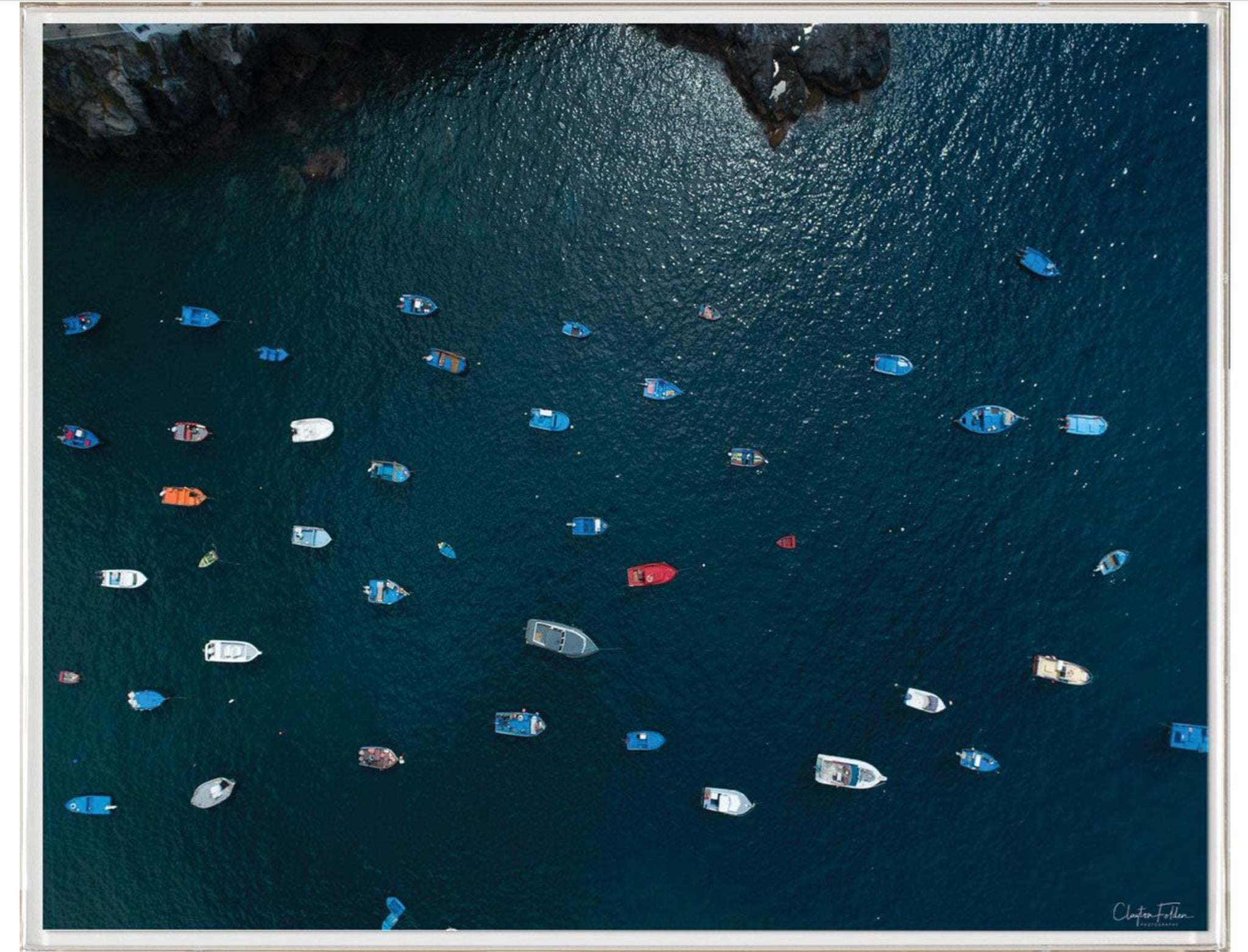 Natural Curiosities Folden Series 2, Ocean No. 18