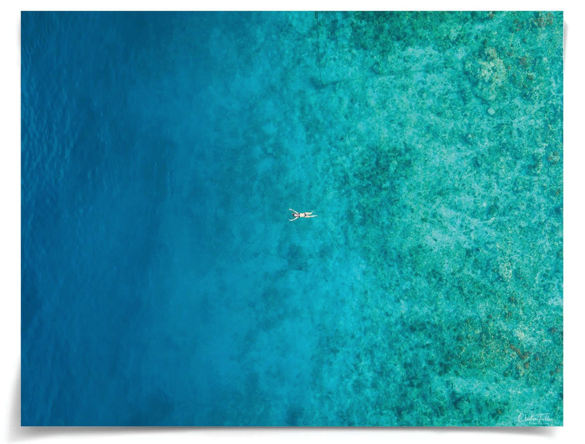 Natural Curiosities Folden Series 2, Ocean No. 9