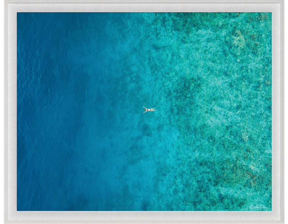 Natural Curiosities Folden Series 2, Ocean No. 9