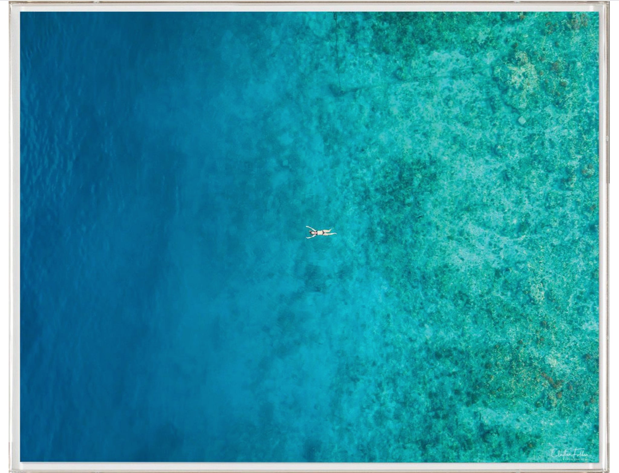 Natural Curiosities Folden Series 2, Ocean No. 9