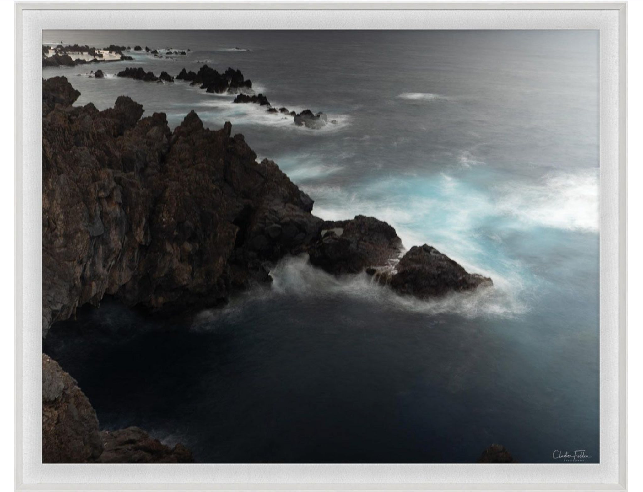 Natural Curiosities Folden Series 2, Ocean No. 8