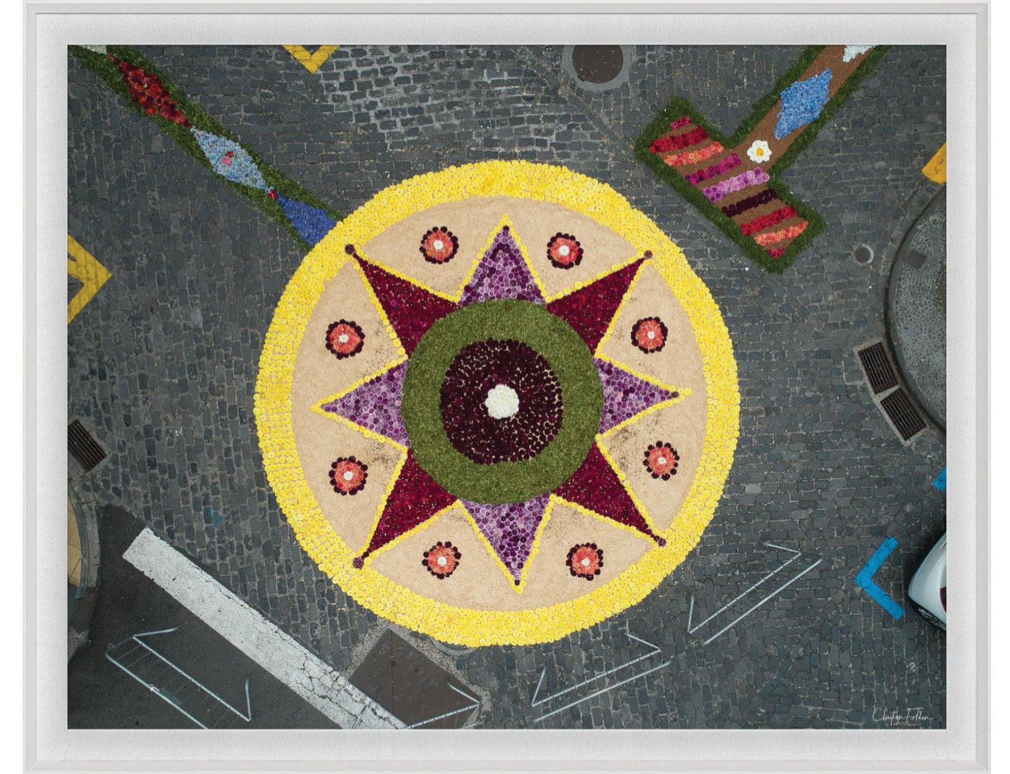 Natural Curiosities Folden Series 2, Aerial Flowers