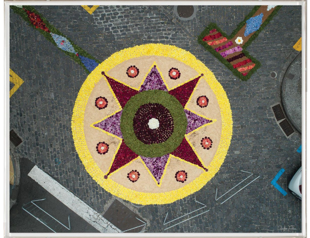 Natural Curiosities Folden Series 2, Aerial Flowers