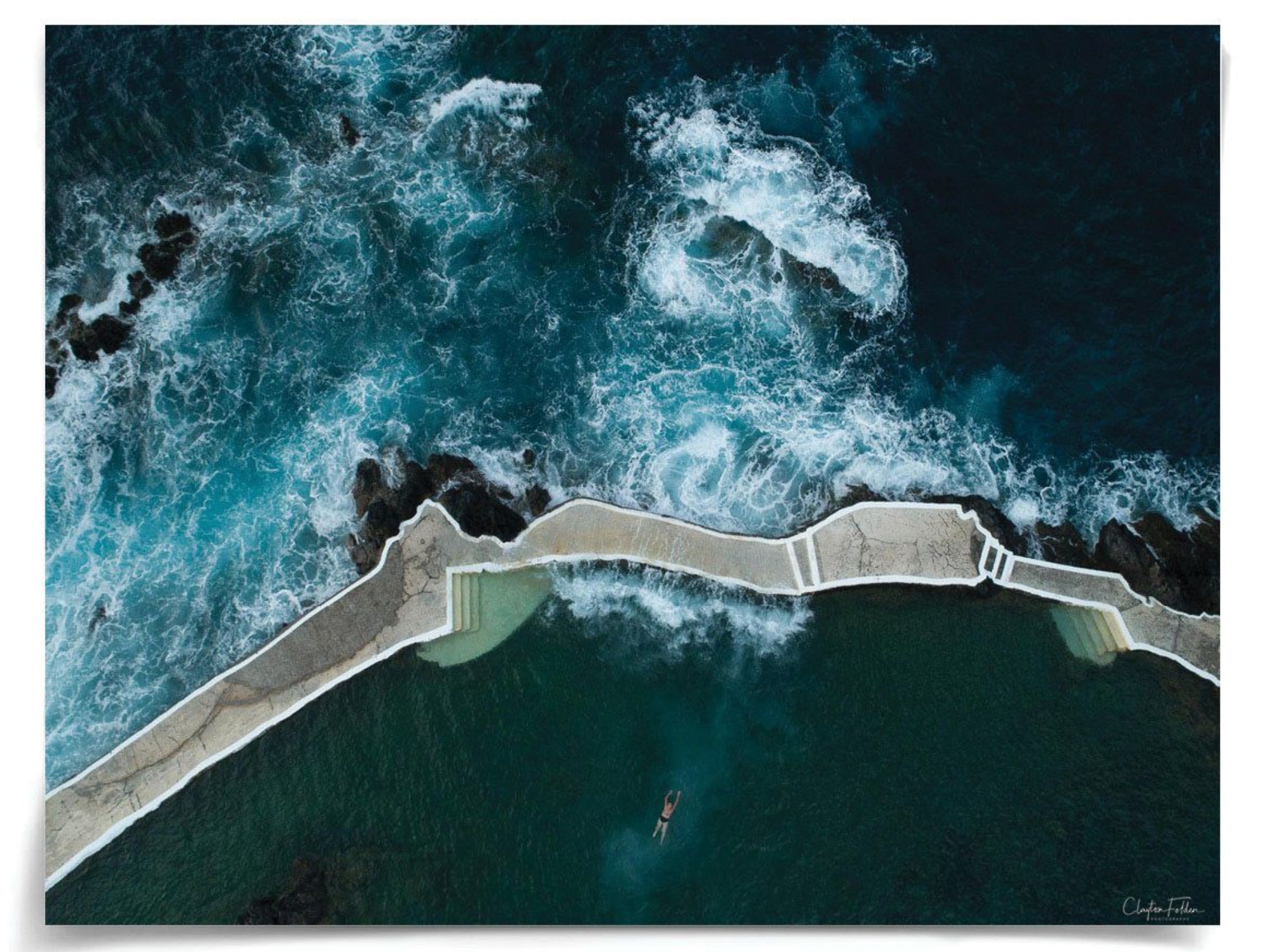 Natural Curiosities Folden Series 2, Ocean No. 15