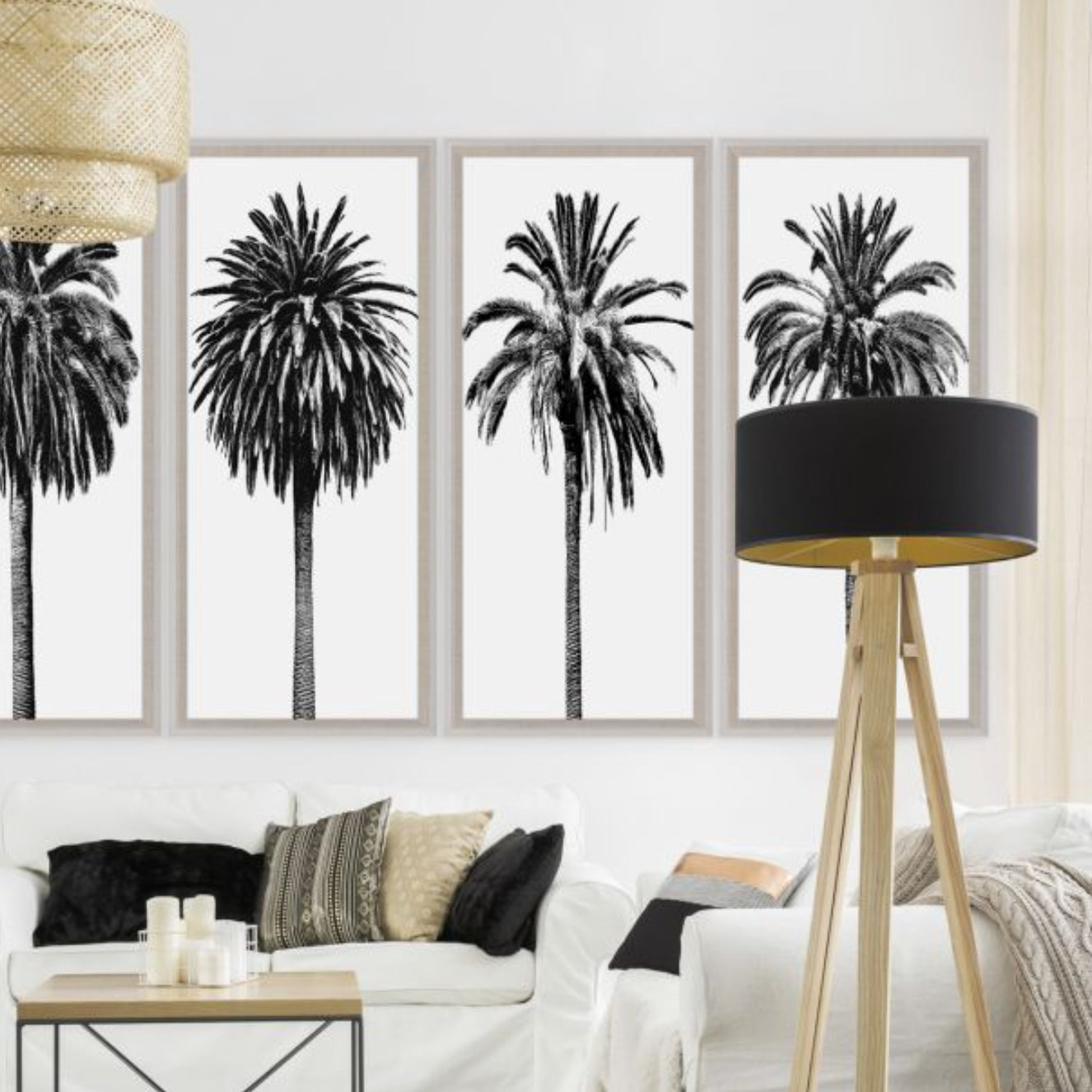 Natural Curiosities Elysian Palm Photograph