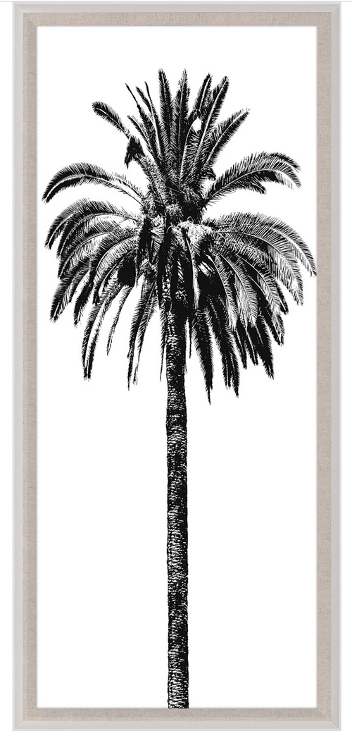 Natural Curiosities Elysian Palm Photograph