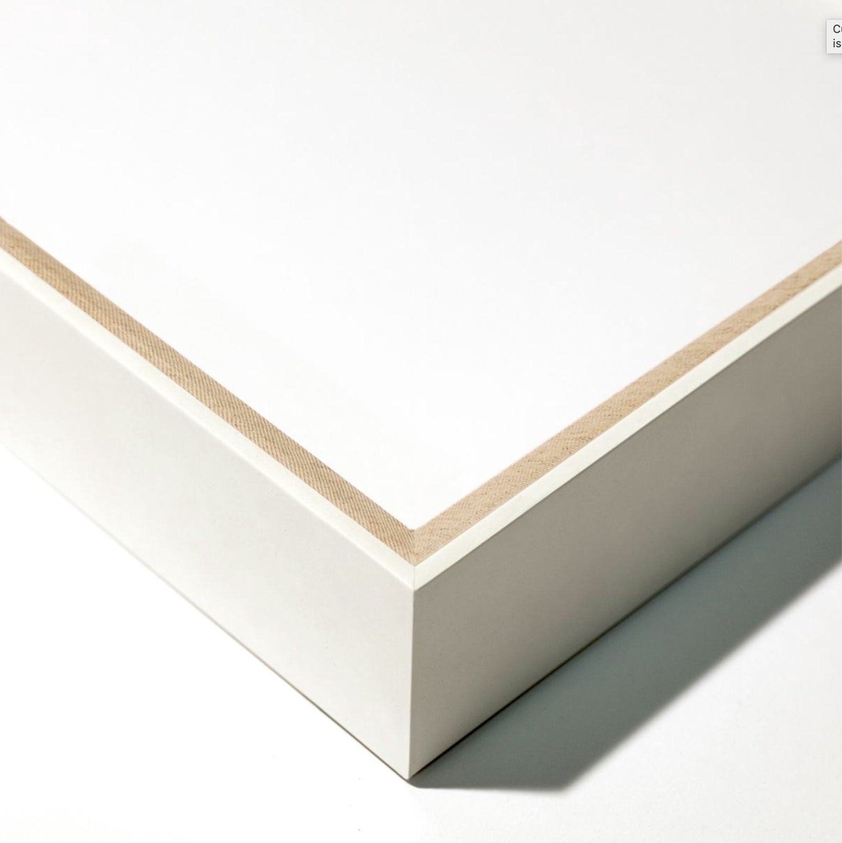 Natural Curiosities Elysian Palm Panel 3