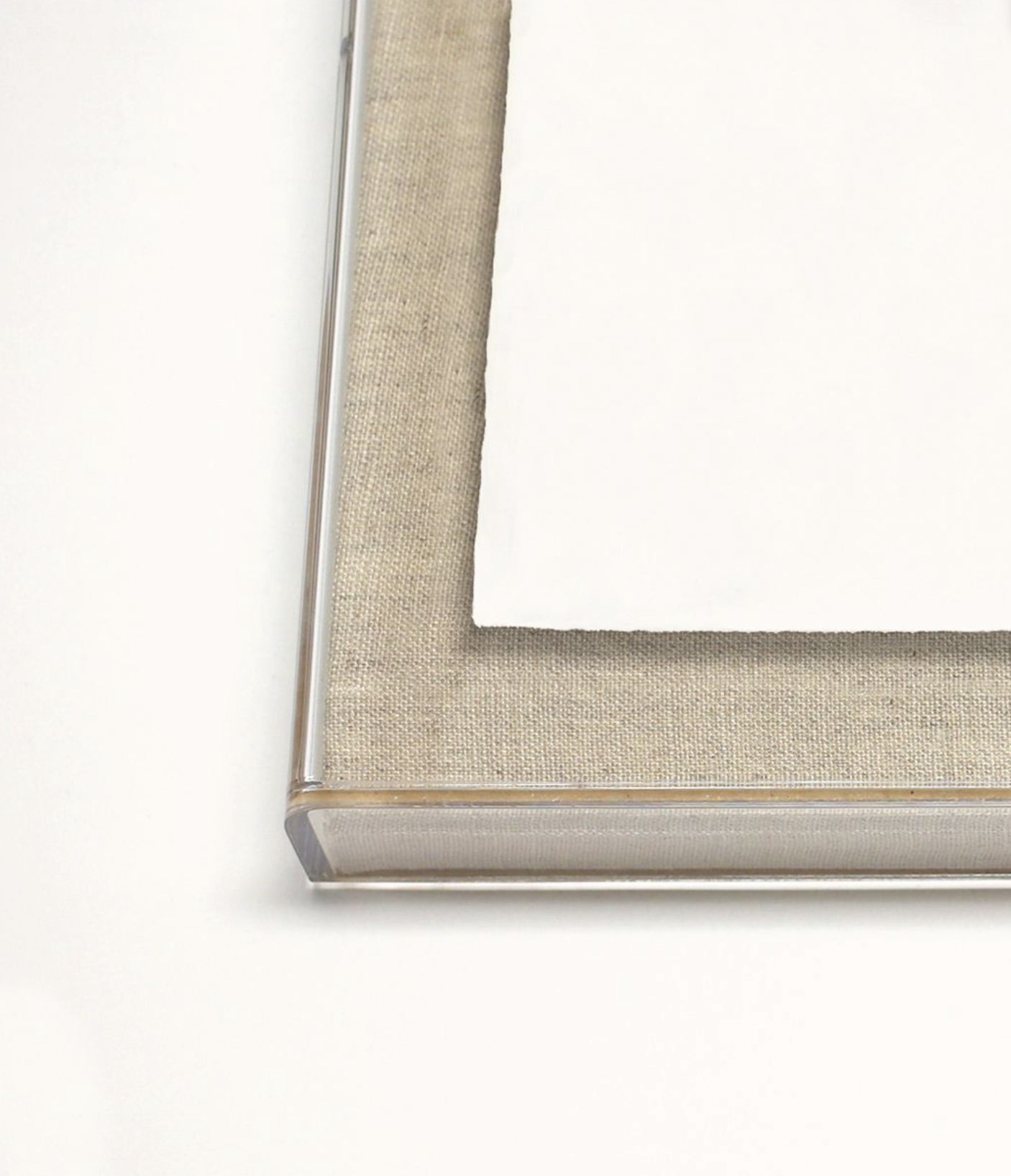 Natural Curiosities Elysian Palm Panel 2