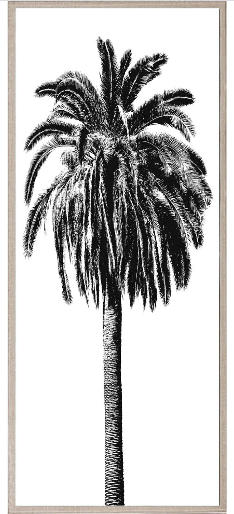 Natural Curiosities Elysian Palm Panel 2