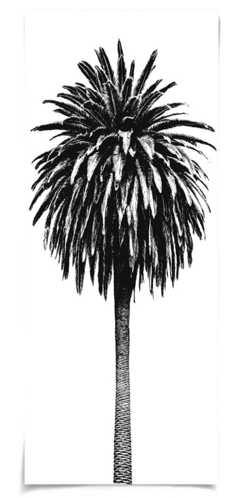 Natural Curiosities Elysian Palm Panel 3