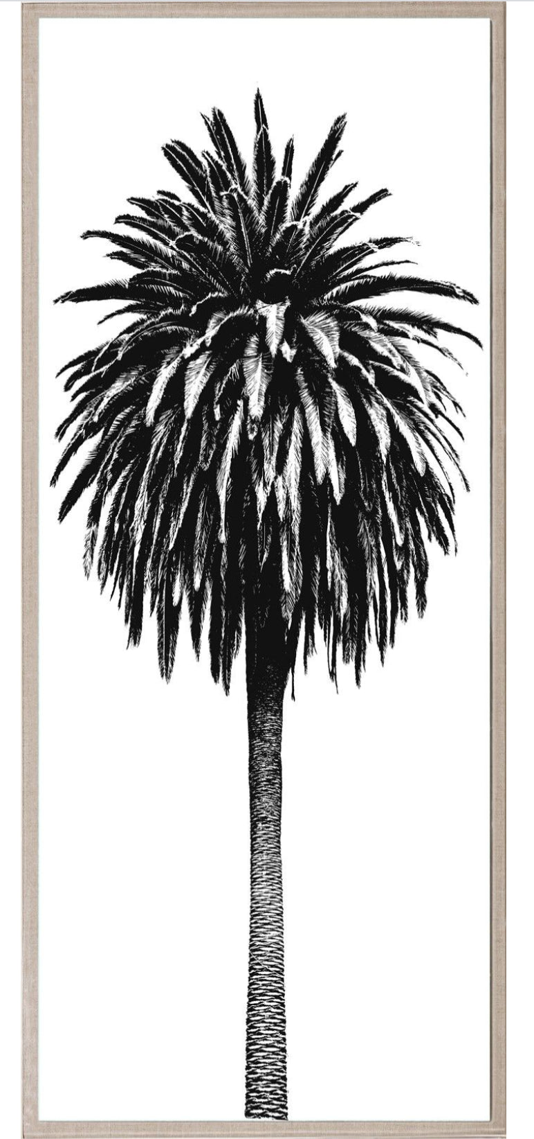 Natural Curiosities Elysian Palm Panel 3