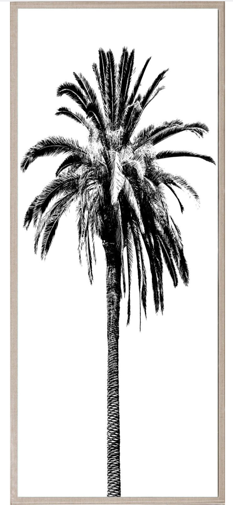 Natural Curiosities Elysian Palm Panel 4