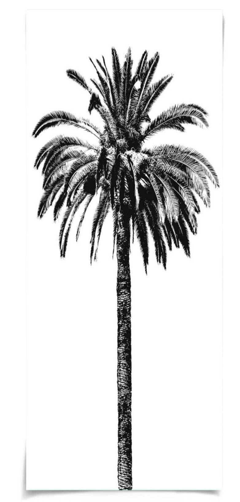 Natural Curiosities Elysian Palm Panel 1