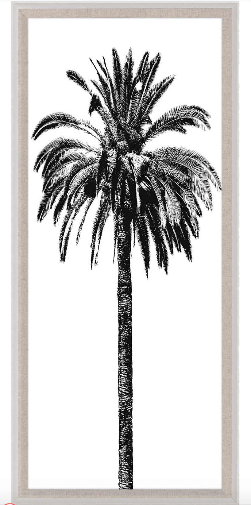 Natural Curiosities Elysian Palm Panel 1