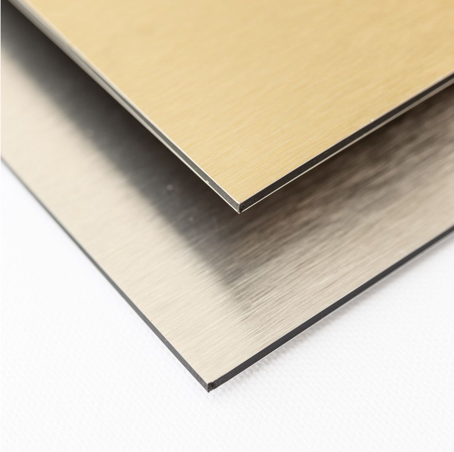 Natural Curiosities "You Are... Quote Art