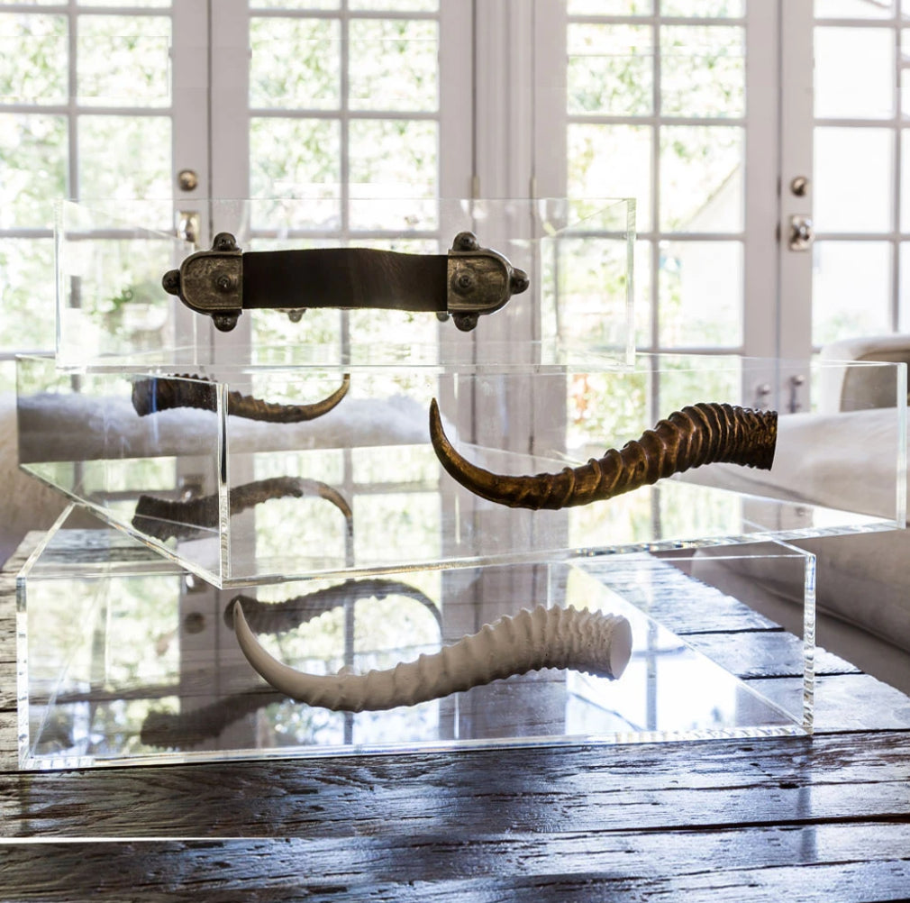 Jamie Dietrich Acrylic Tray with Leather Handles