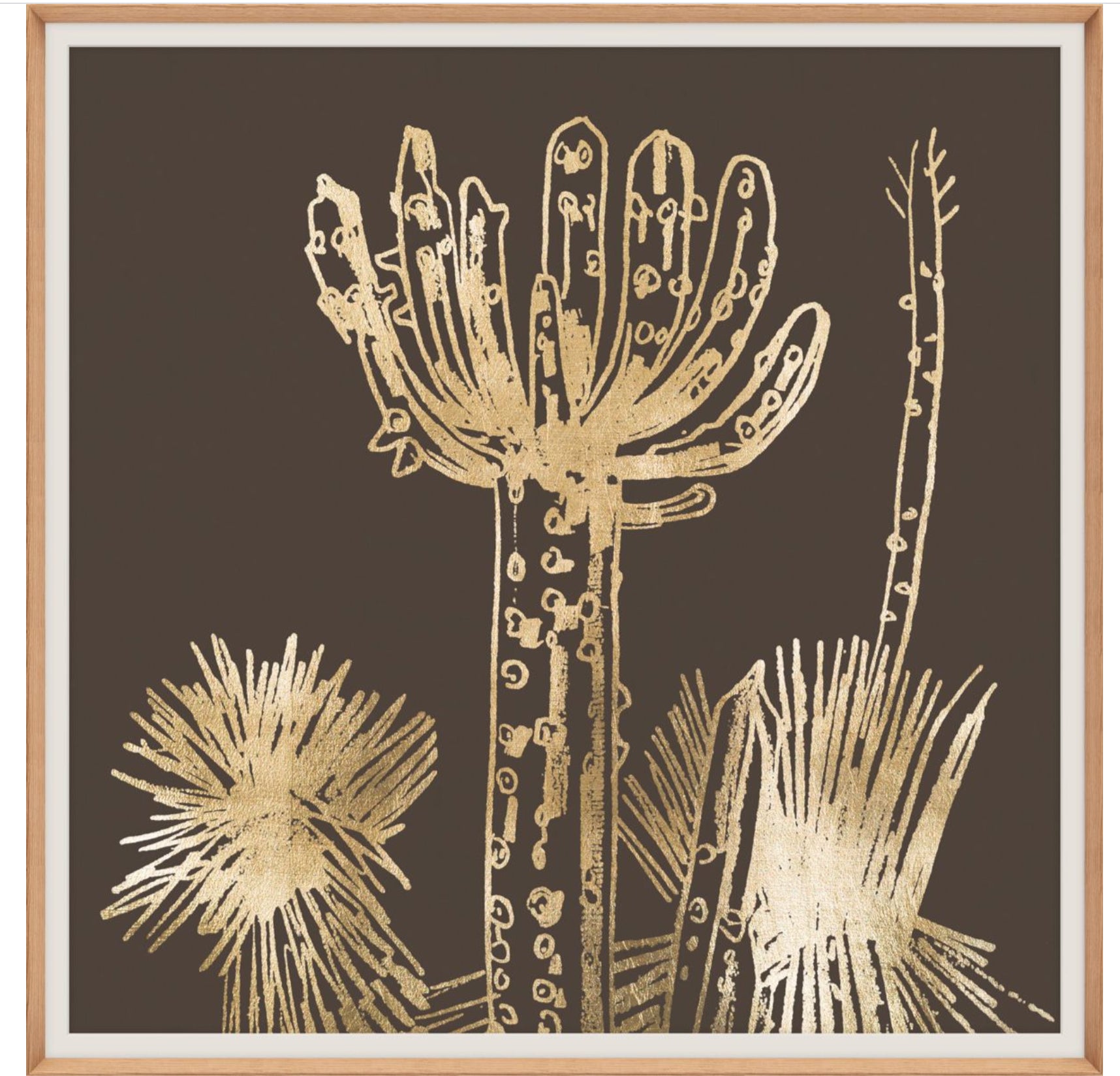 Natural Curiosities Desert Calm Art