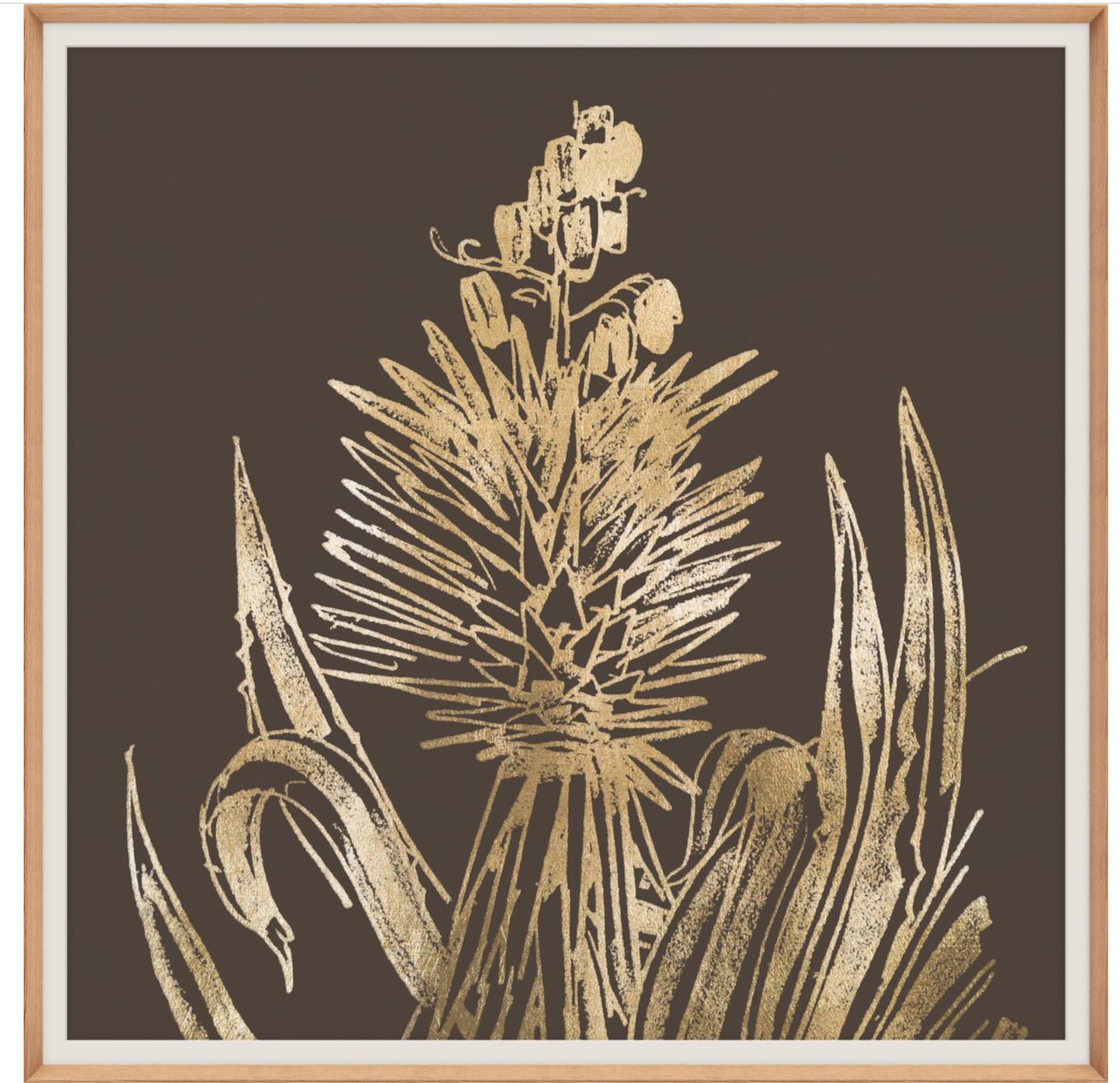 Natural Curiosities Desert Calm Art