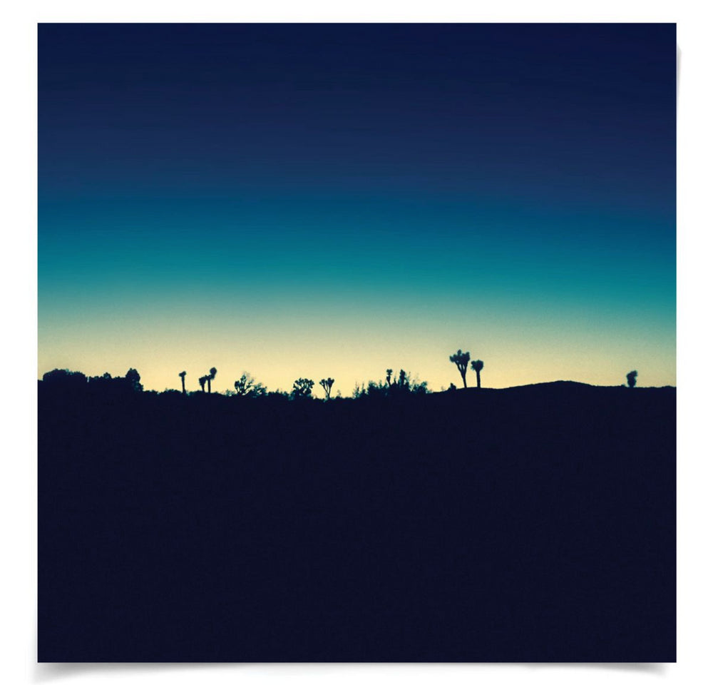 Mojave Mood Photography Art by Natural Curiosities