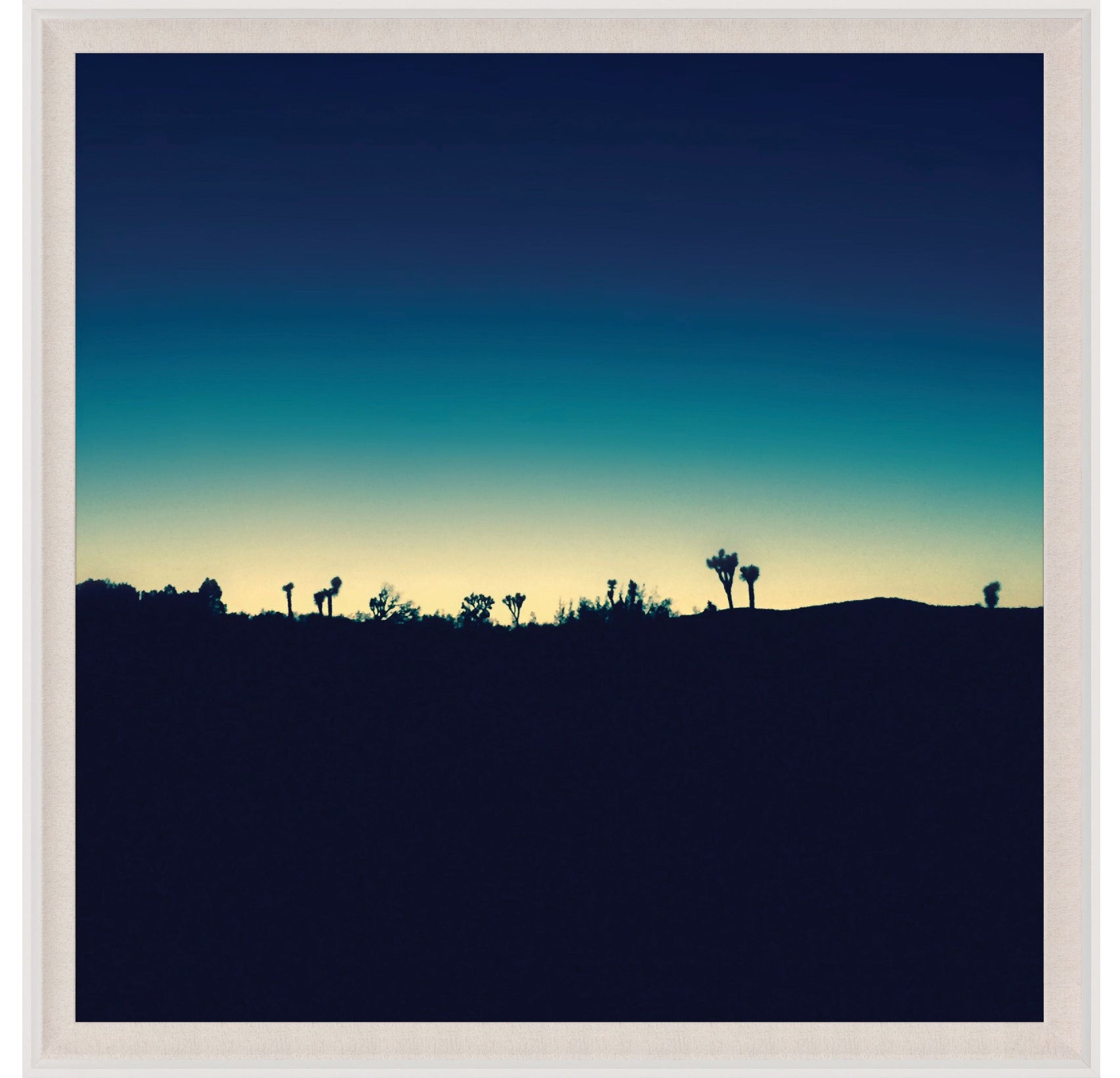 Mojave Mood Photography Art by Natural Curiosities