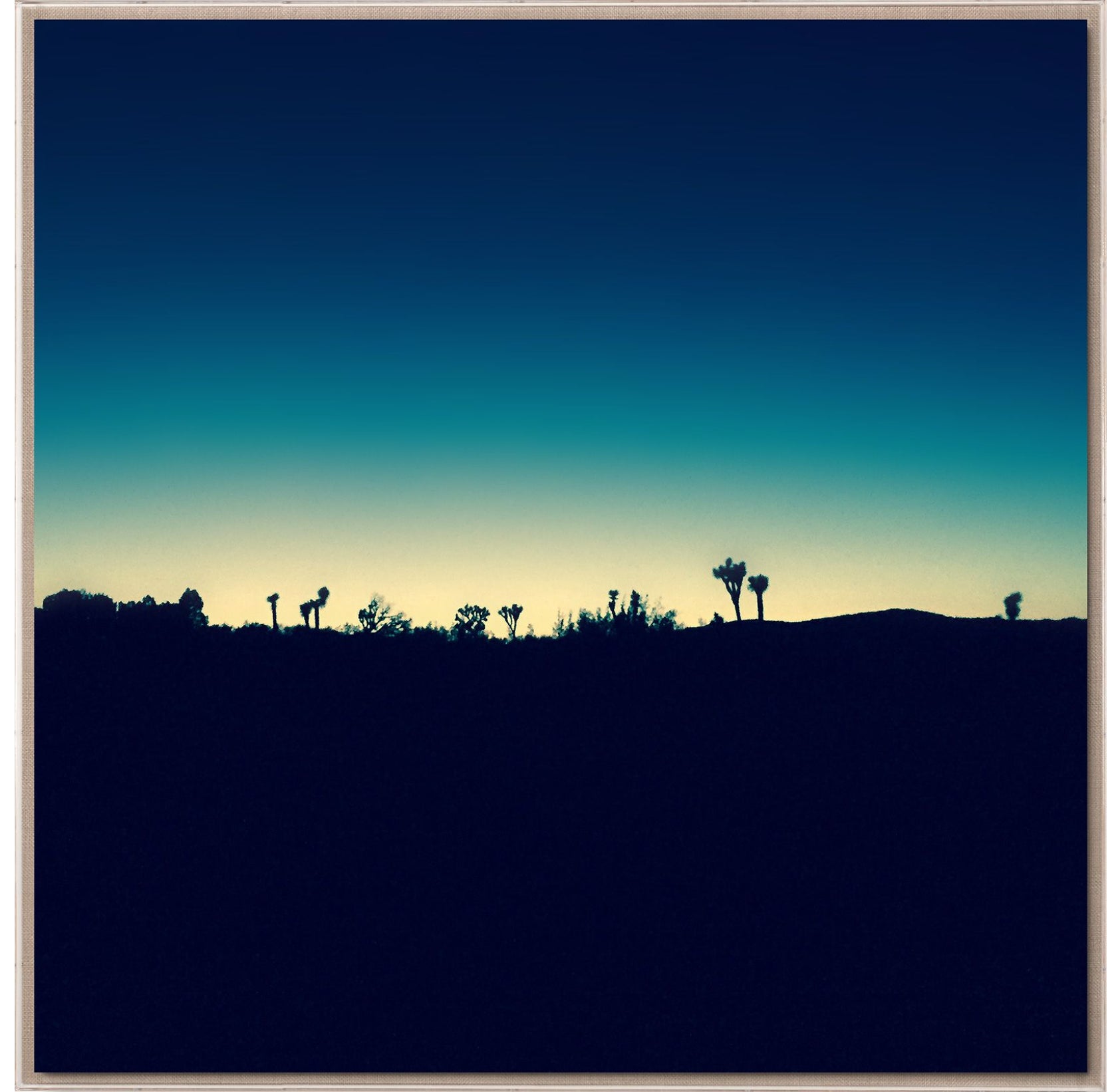 Natural Curiosities Mojave Mood 1 & 2 Photography Art